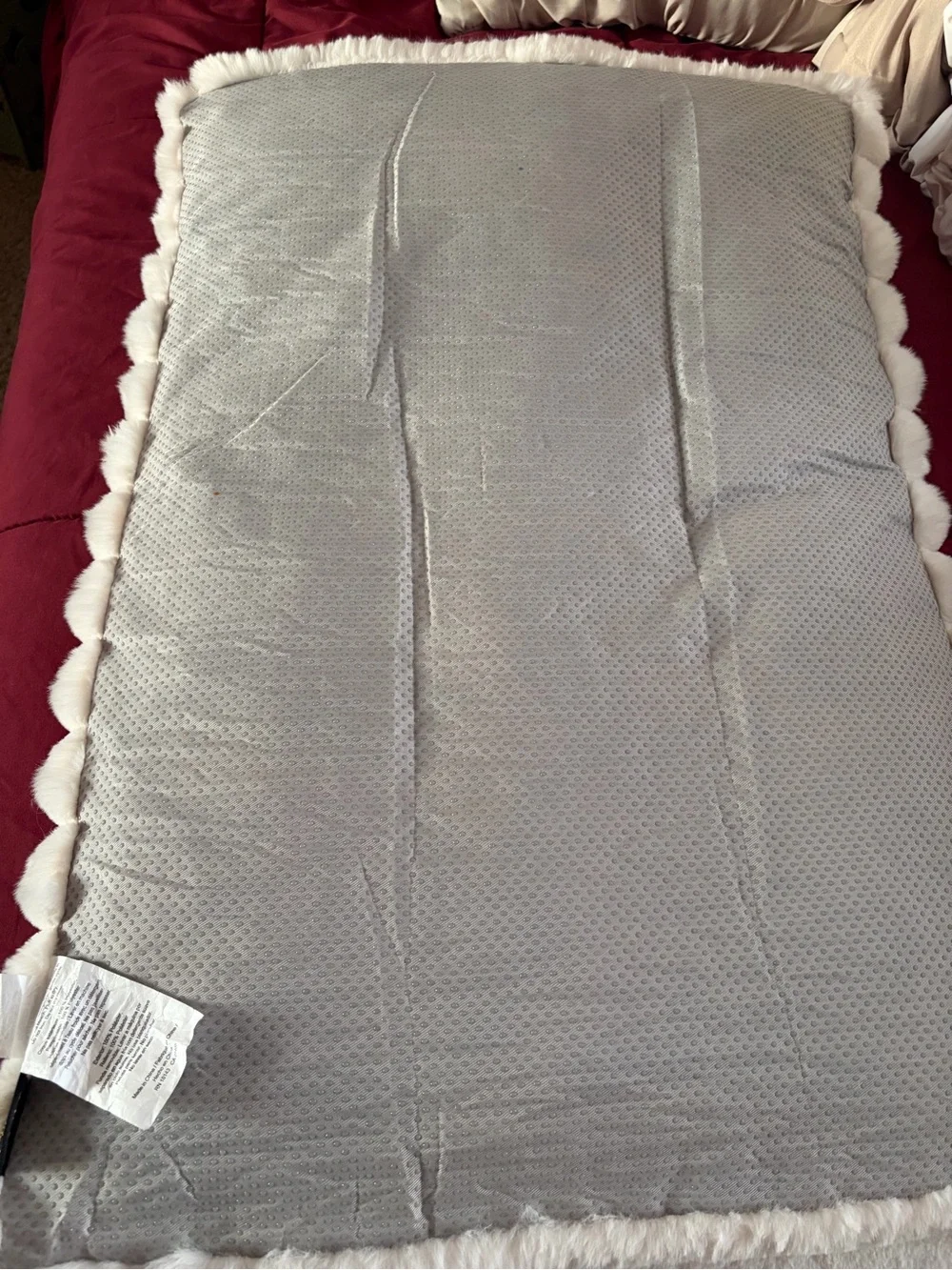 Cream Plush Cuddle Dog Bed